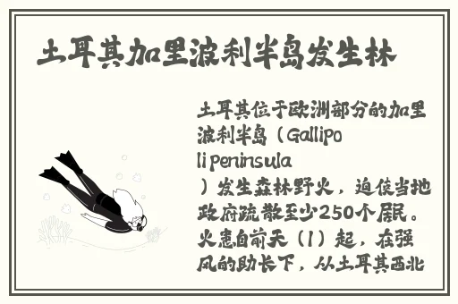 班长趴下让我c了一节课作文